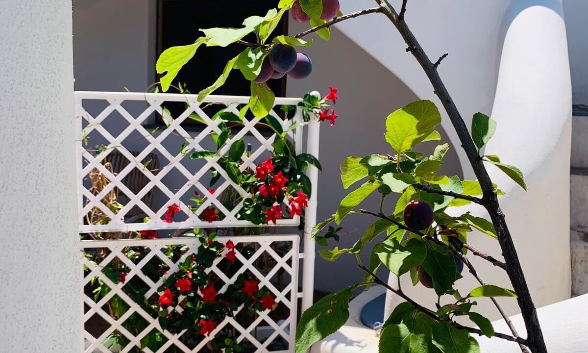 Photo of Outdoor in Malfa
