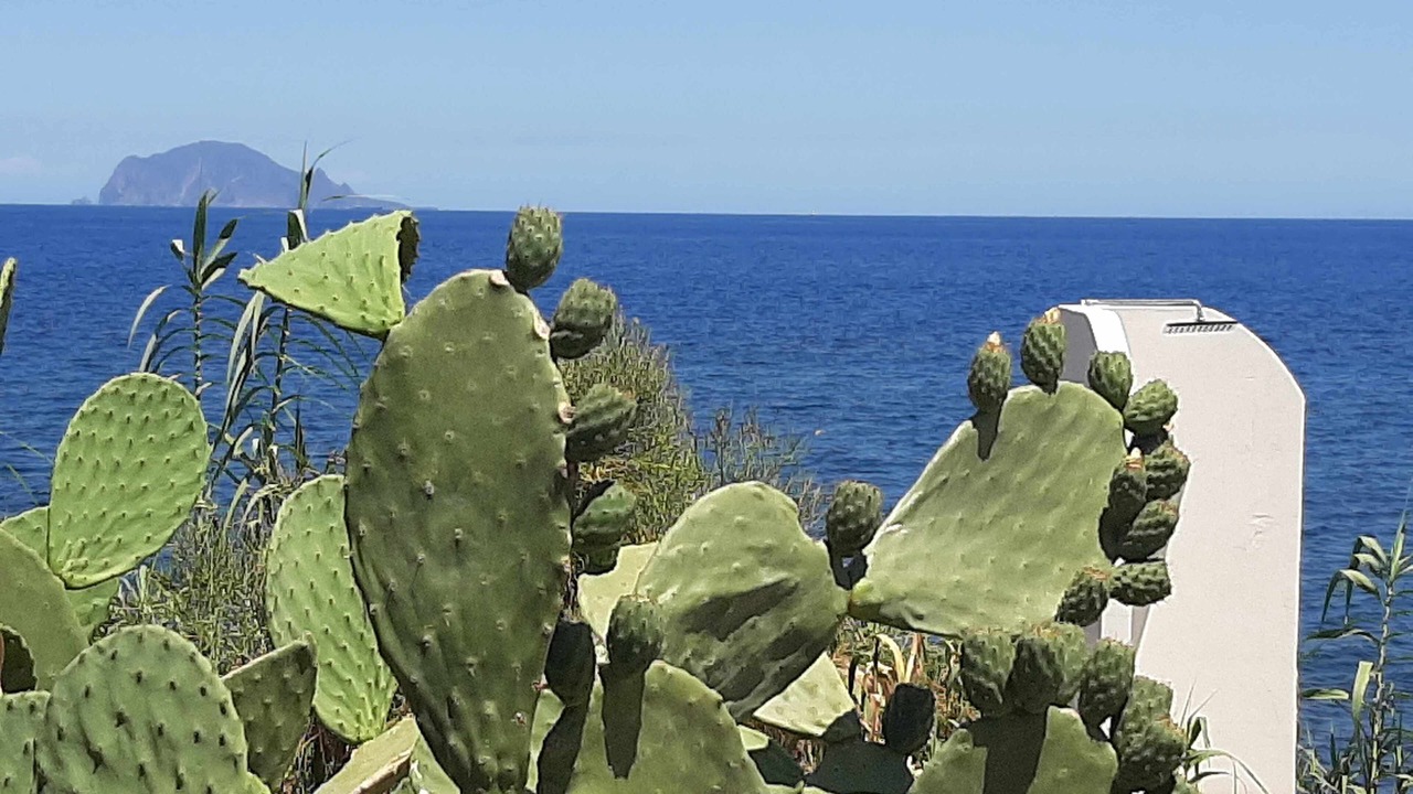 Photo of Outdoor in Santa Marina Salina
