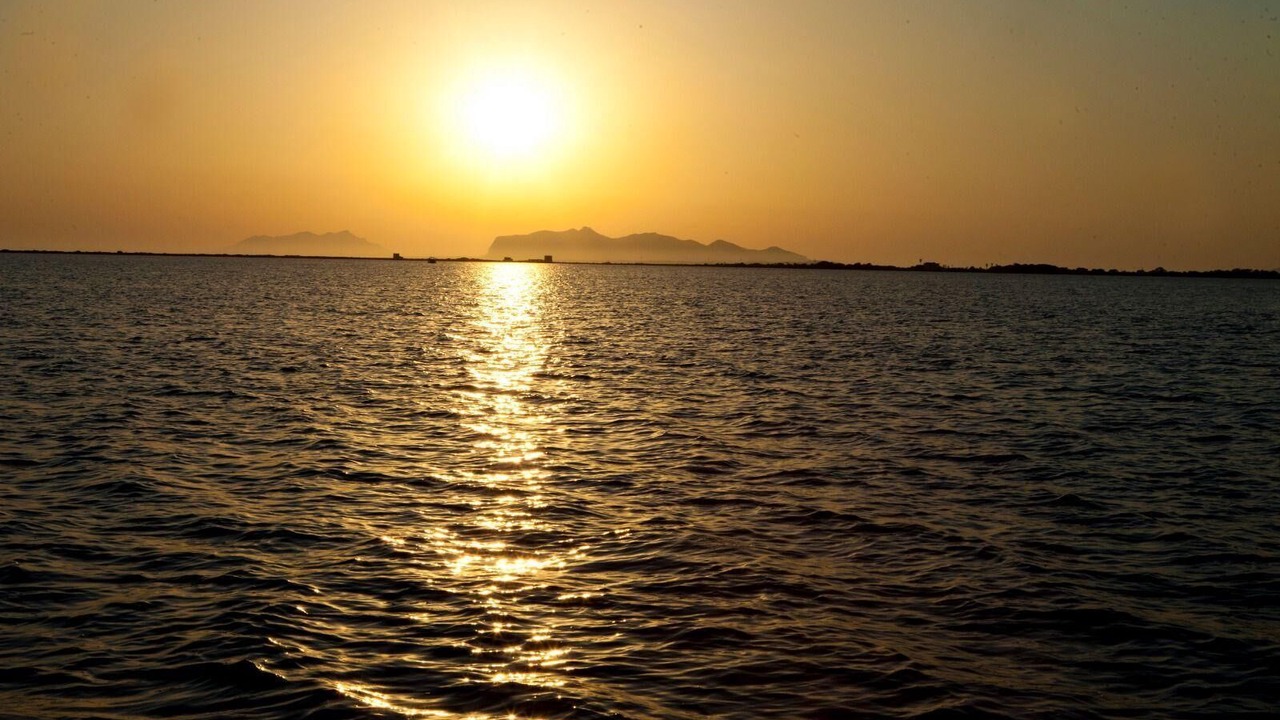 Photo of Others in Marsala