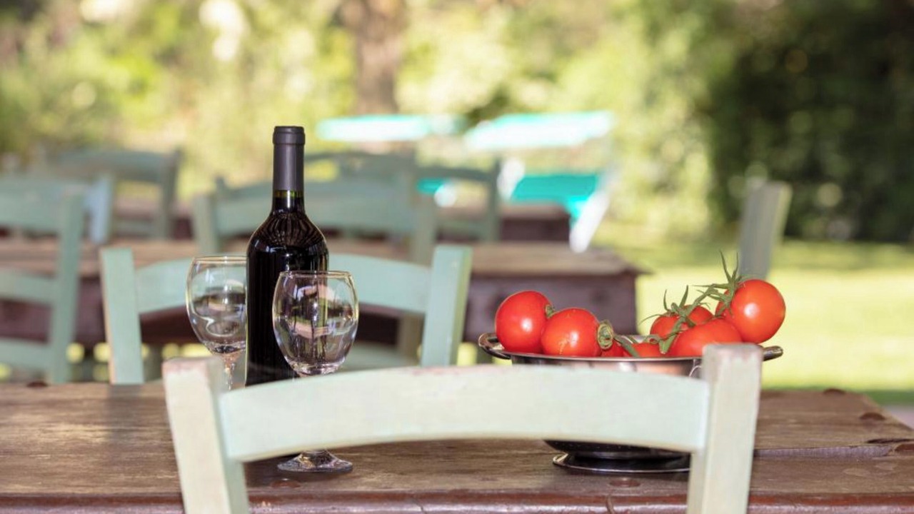 Photo of Outdoor in Montescudaio