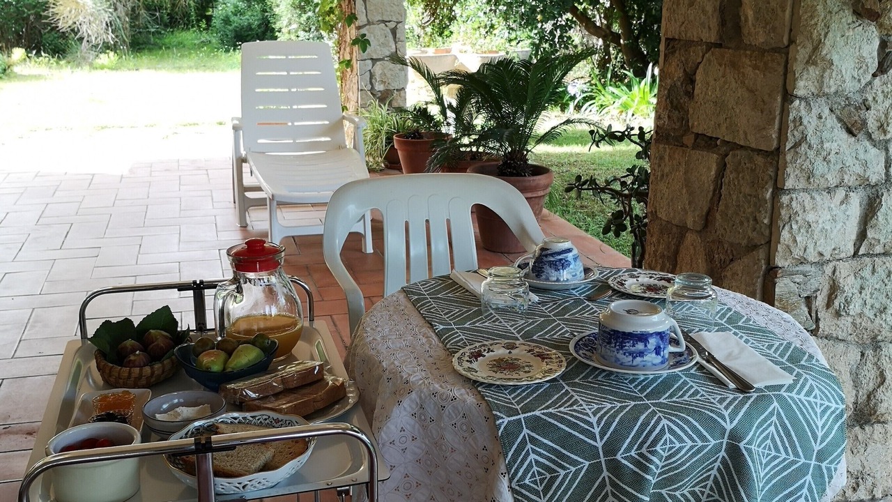 Photo of Outdoor in Paola