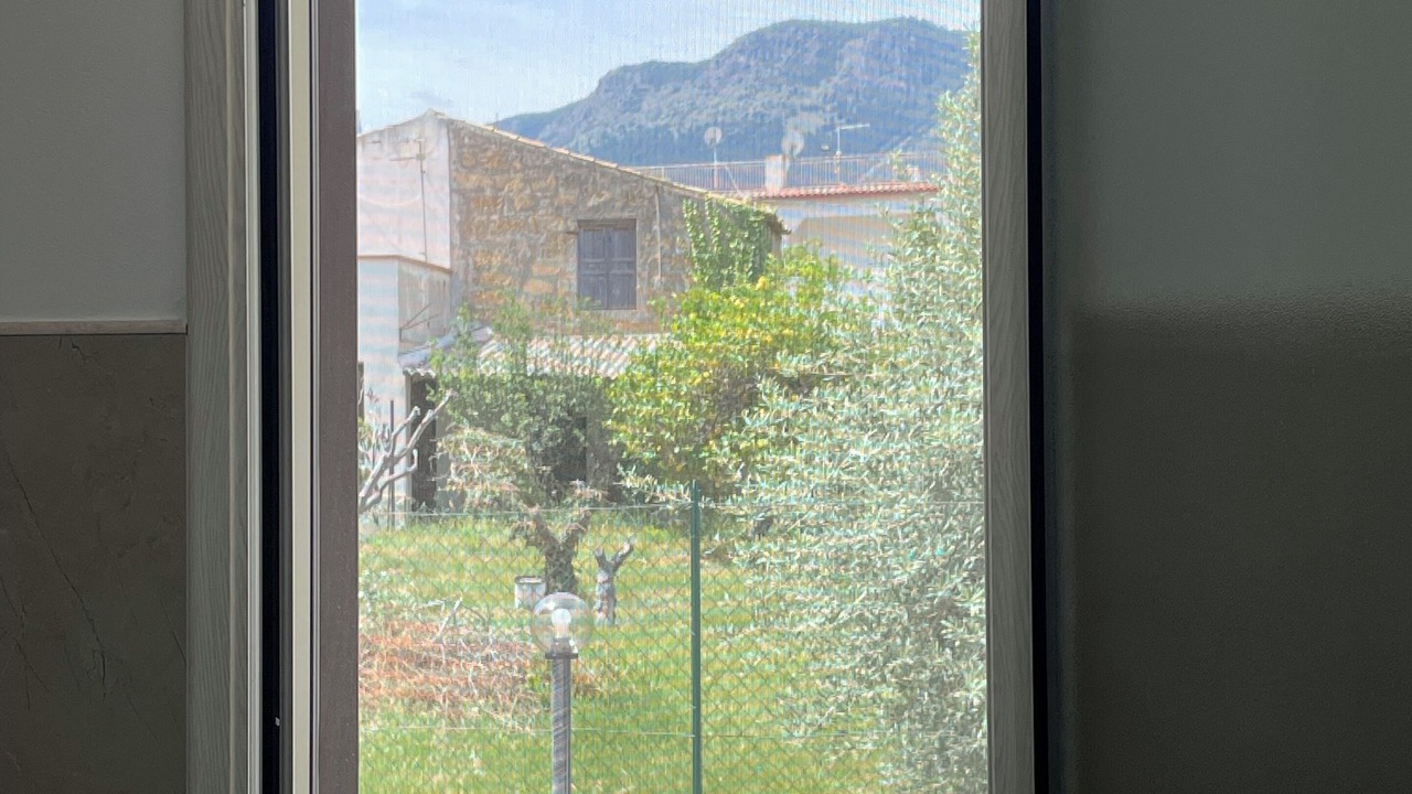 Photo of Others in Trabia