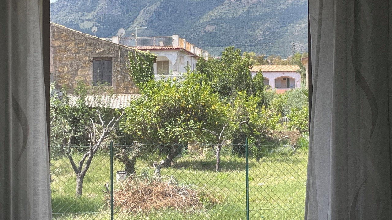 Photo of Others in Trabia