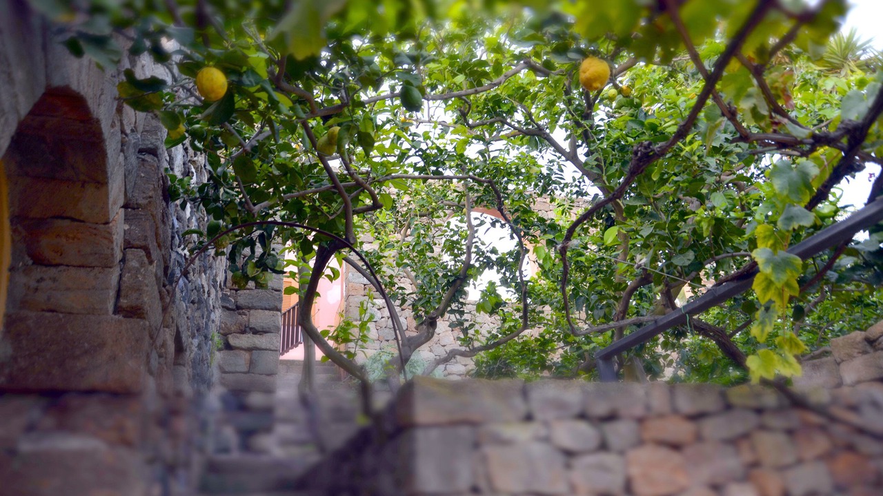 Photo of Outdoor in Rekhale