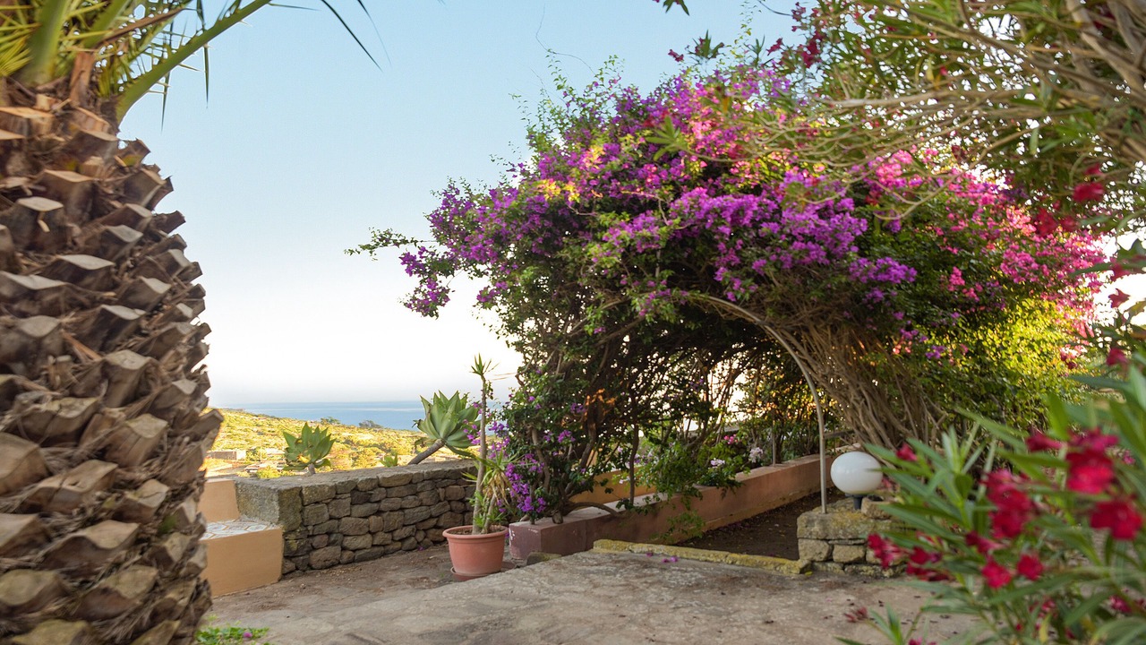 Photo of Outdoor in Rekhale