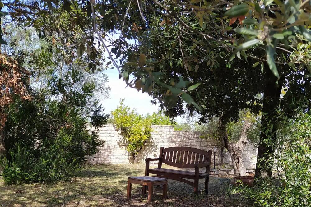 Photo of Outdoor in Trani