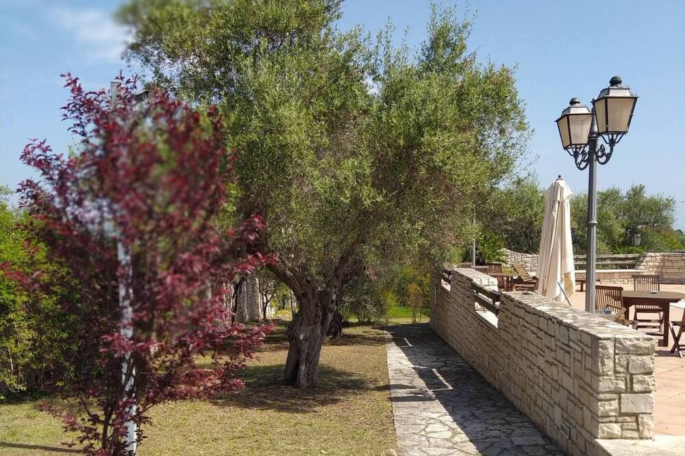 Photo of Outdoor in Trani