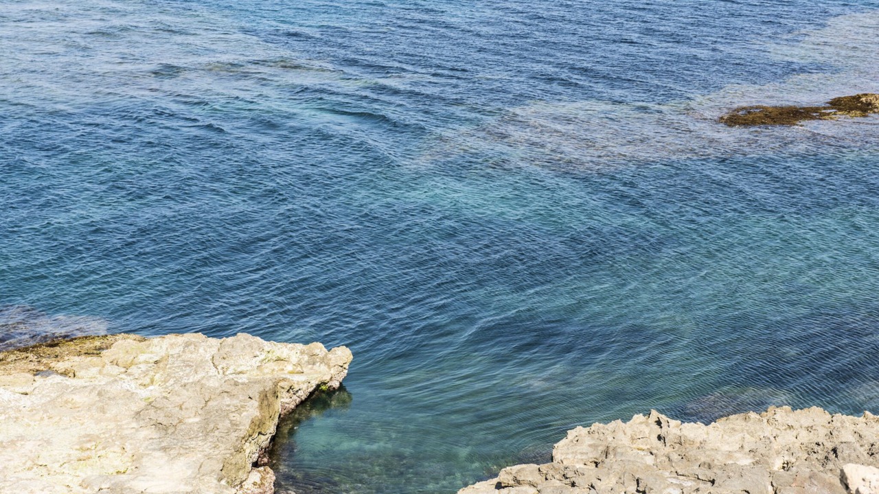 Photo of Outdoor in Punta Braccetto