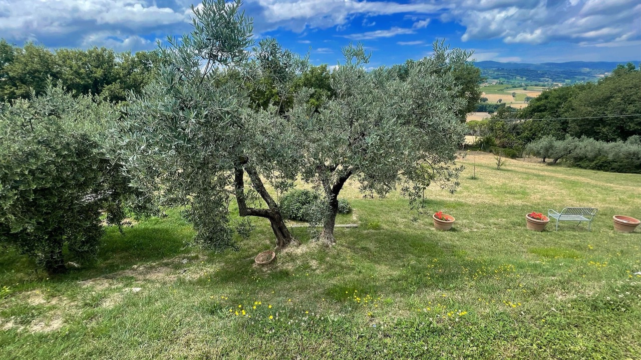 Photo of Outdoor in Pietrauta