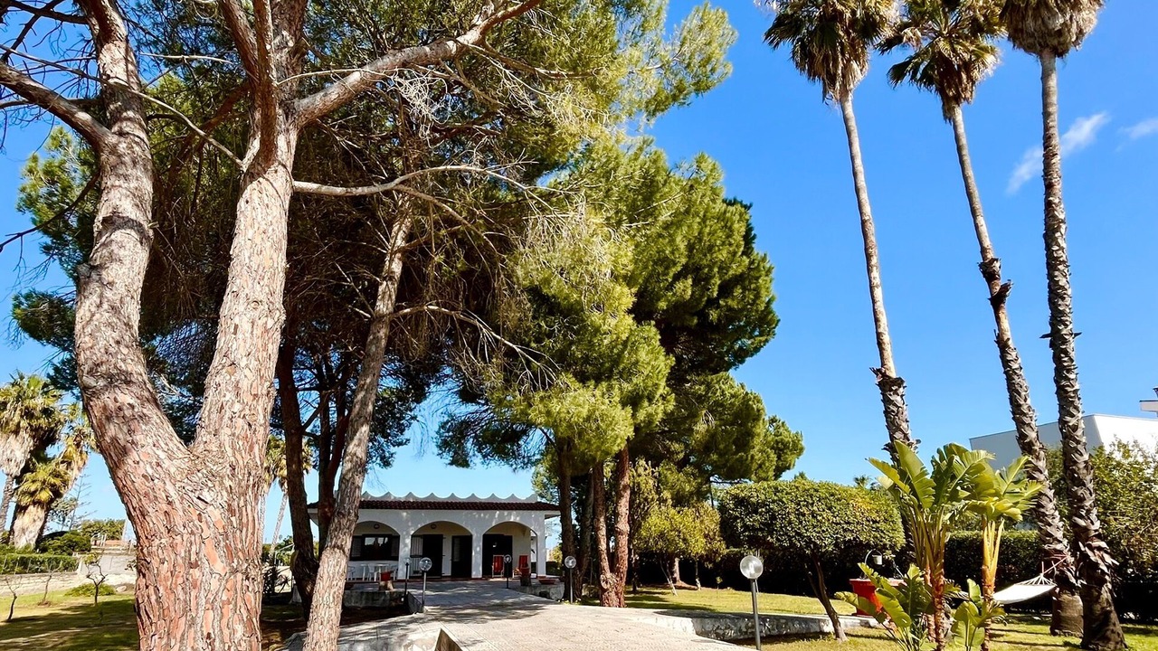 Photo of Outdoor in Arenella