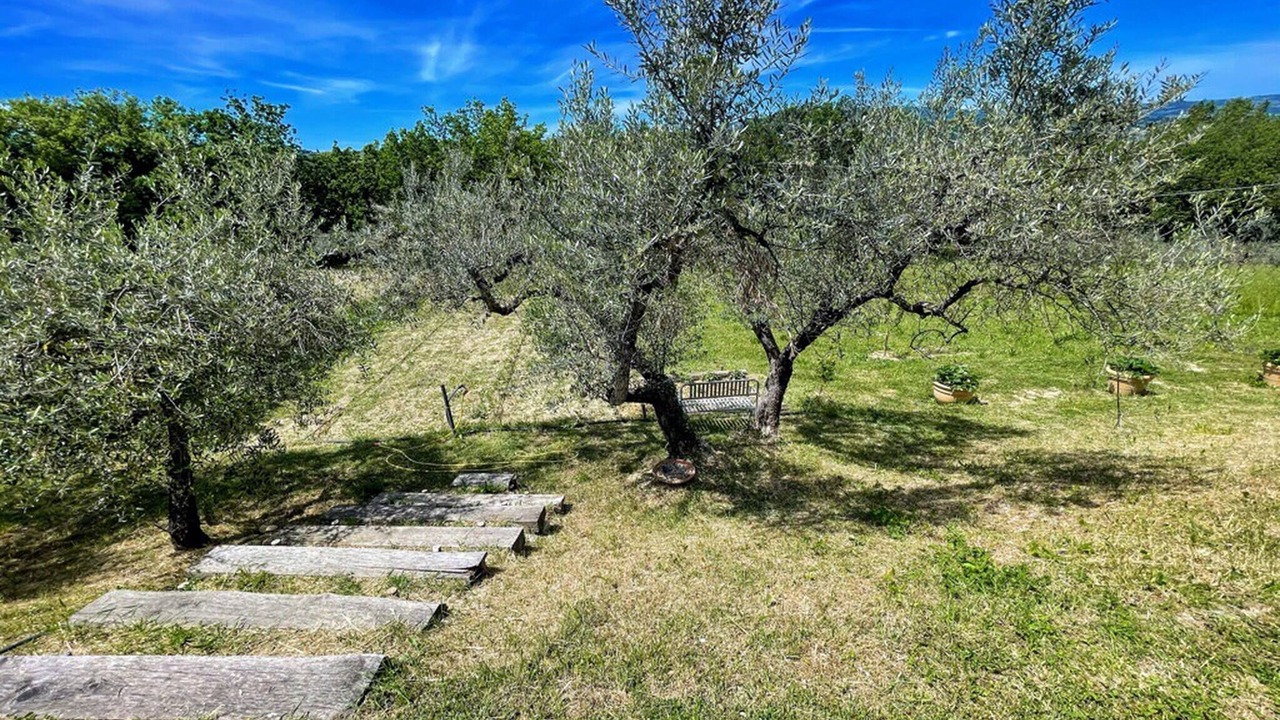 Photo of Outdoor in Pietrauta