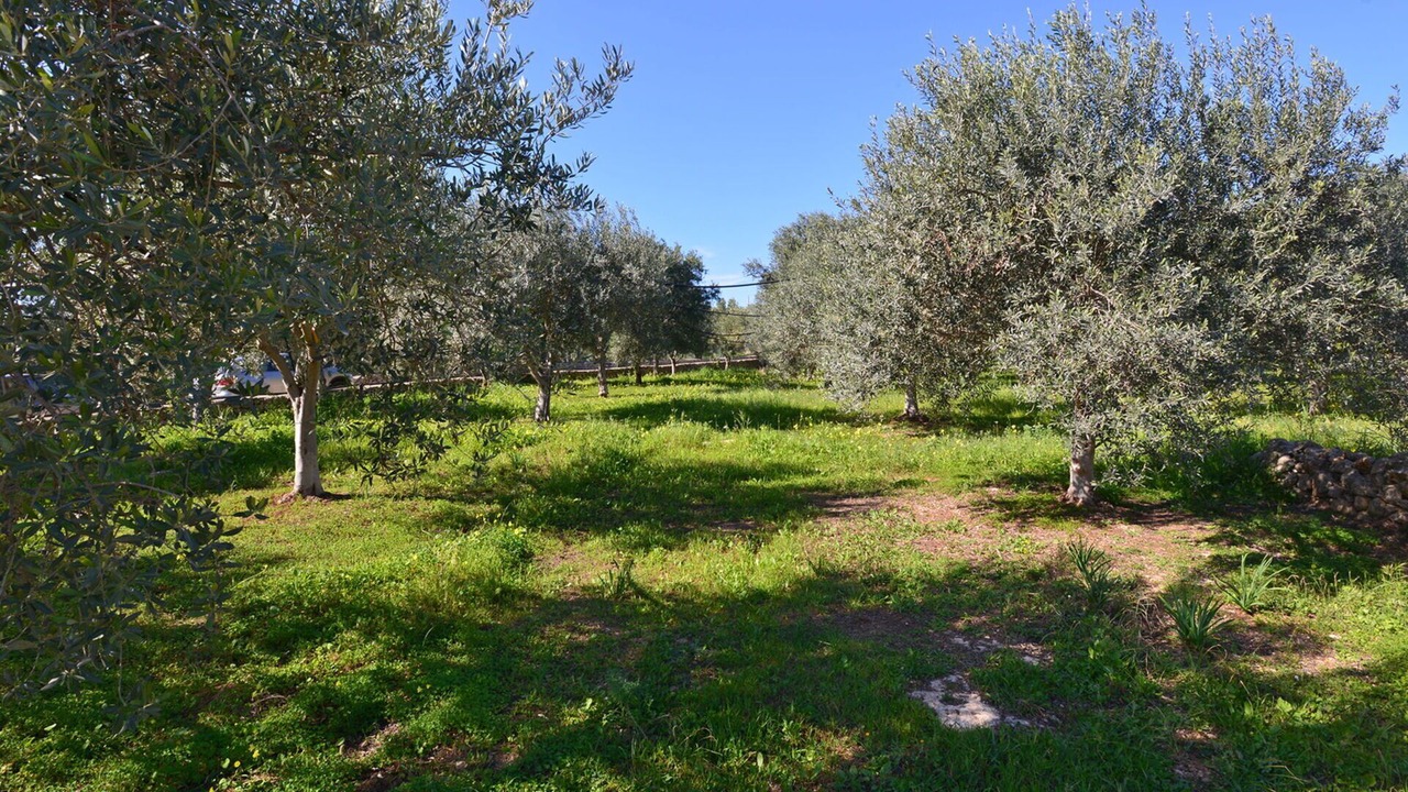 Photo of Outdoor in Floridia