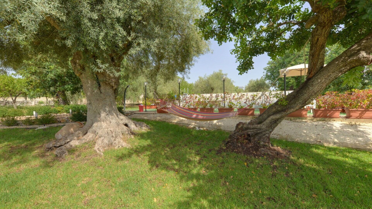 Photo of Outdoor in Solarino