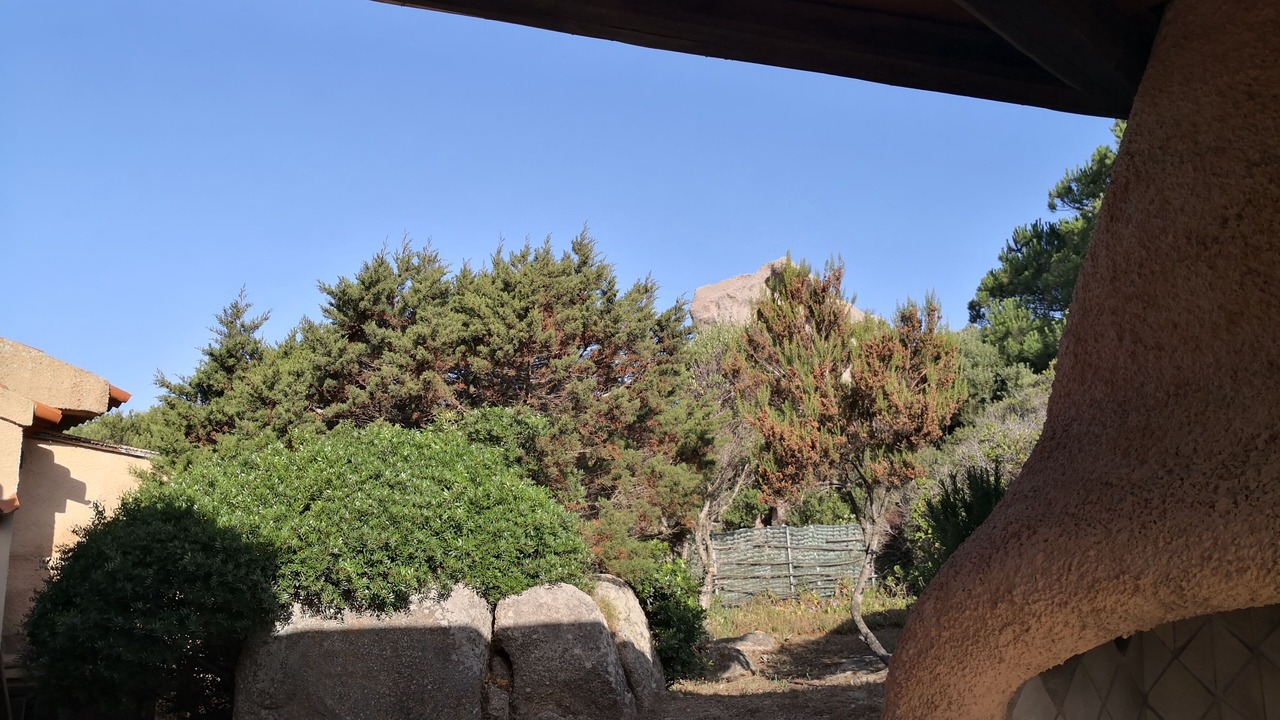 Photo of Outdoor in Santa Reparata