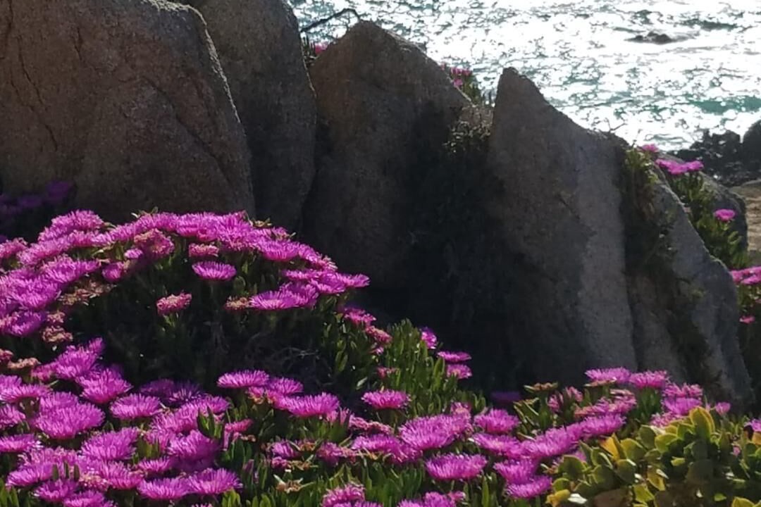 Photo of Outdoor in Santa Reparata