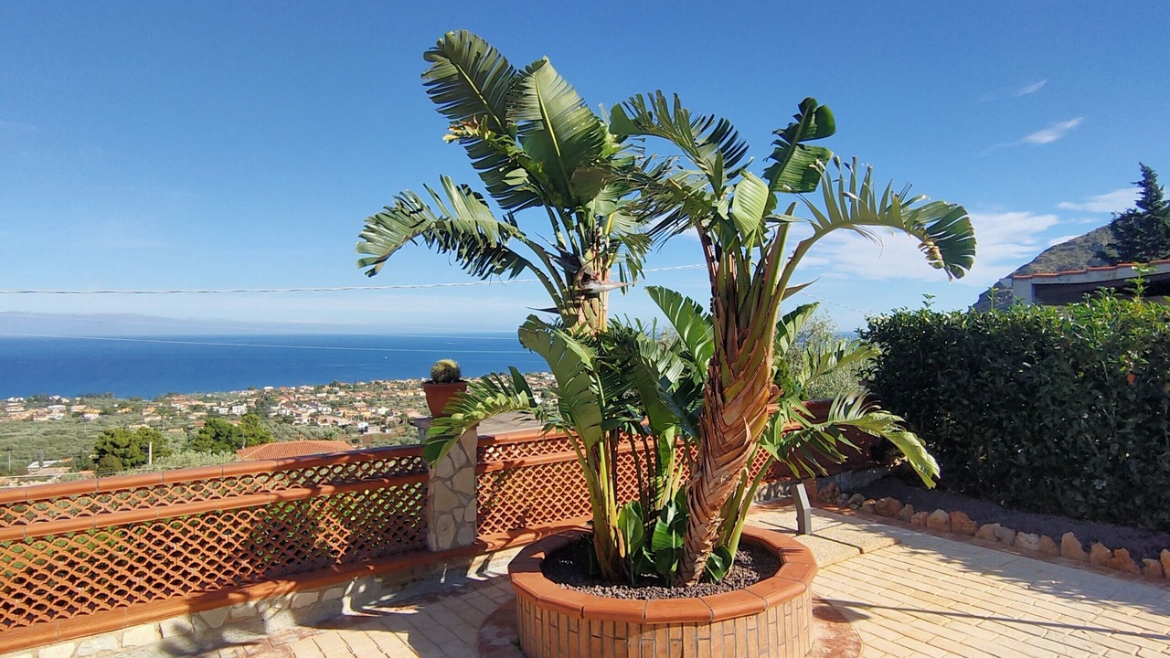 Photo of Outdoor in Torre Colonna-sperone