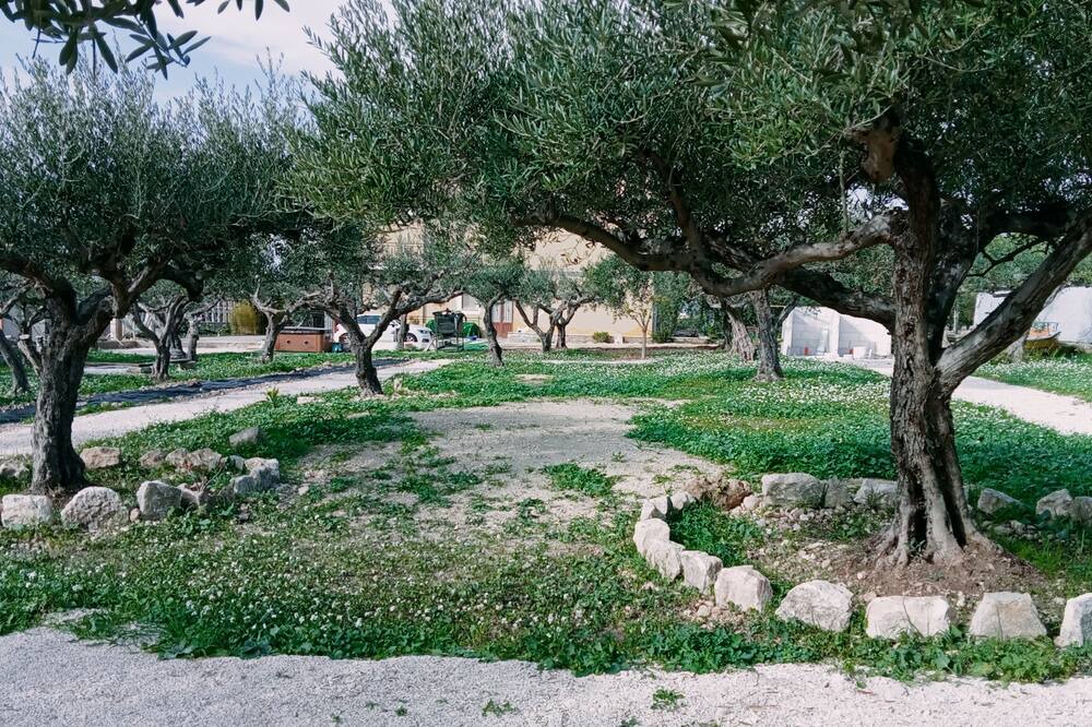 Photo of Outdoor in Borgo Bonsignore