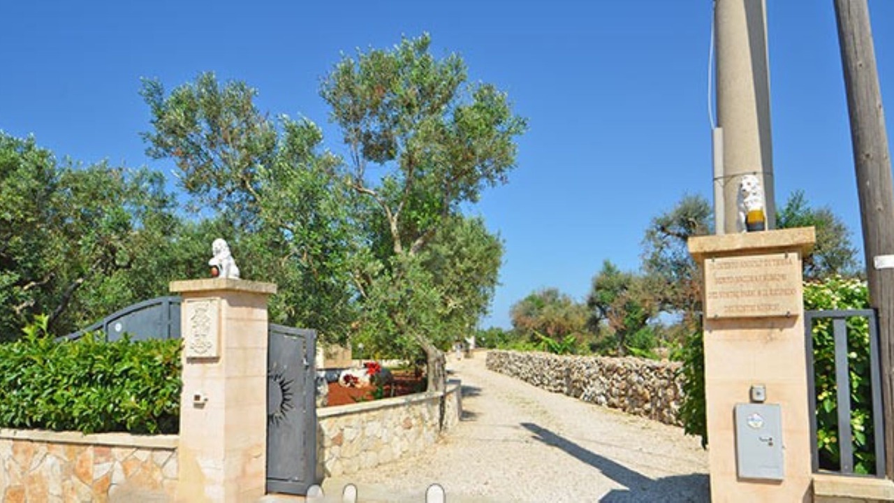 Photo of Others in Torre Vado