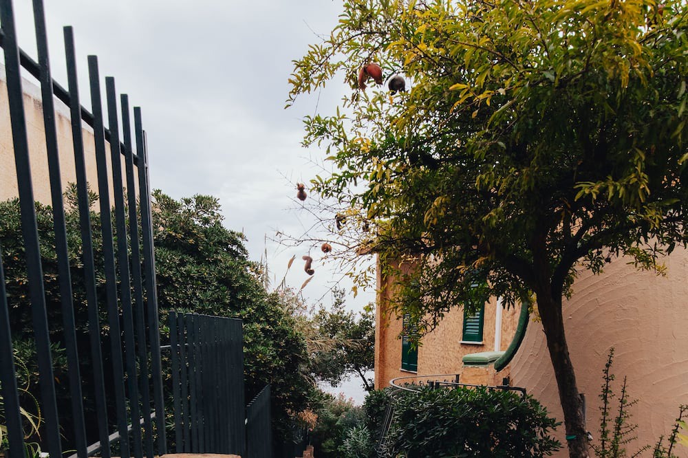 Photo of Outdoor in Capo Zafferano