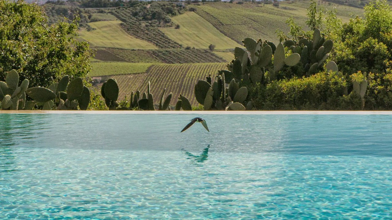 Photo of Outdoor in Partinico