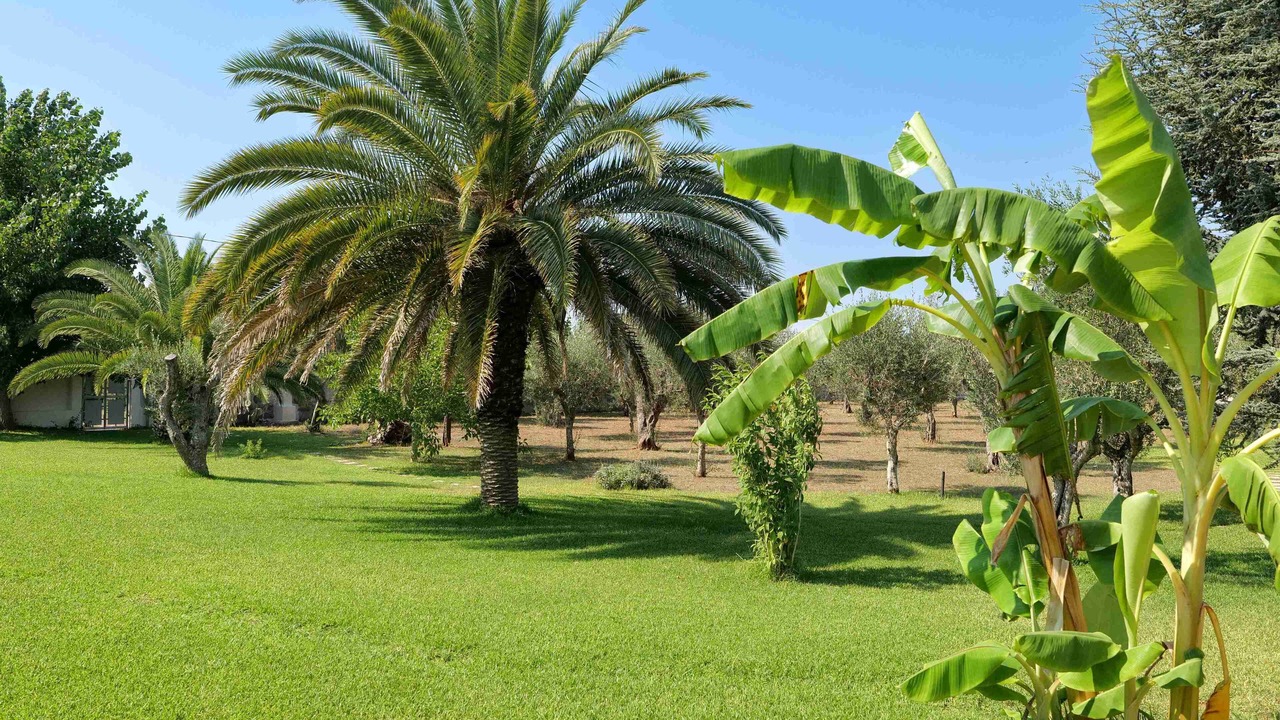 Photo of Outdoor in Cursi