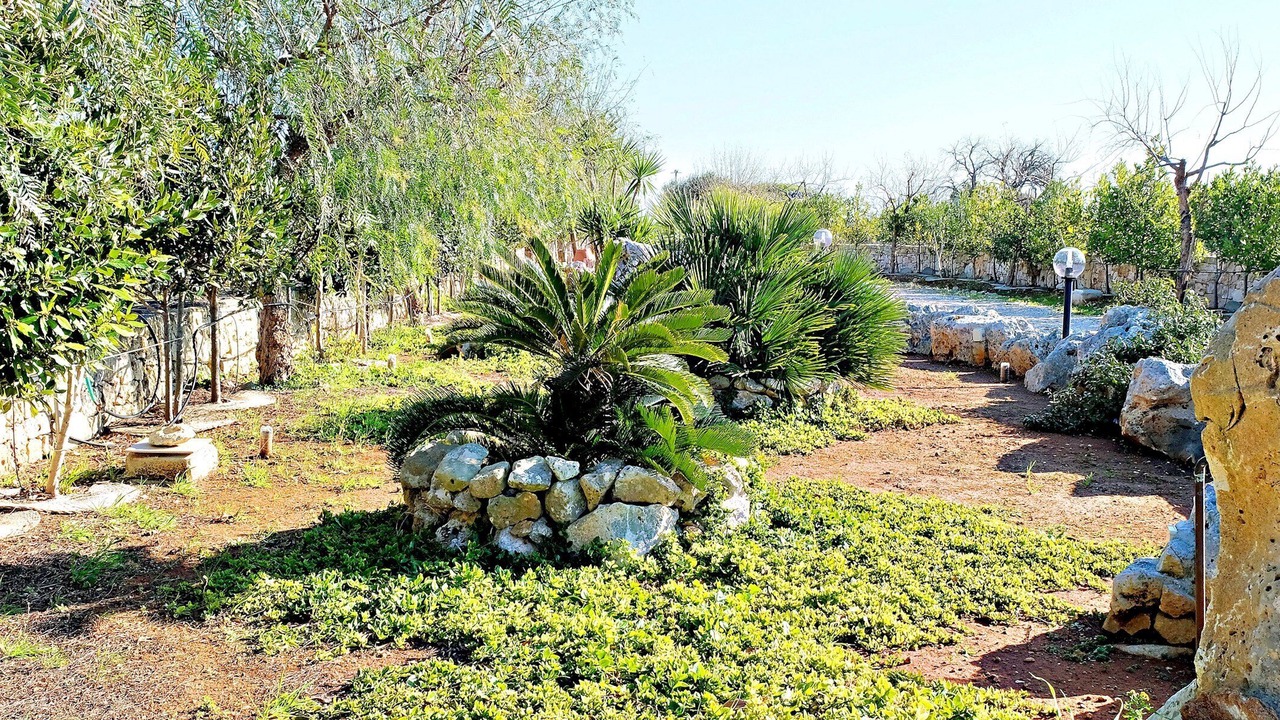 Photo of Outdoor in Corsano