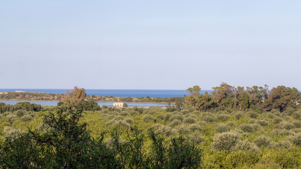 Photo of Others in Noto
