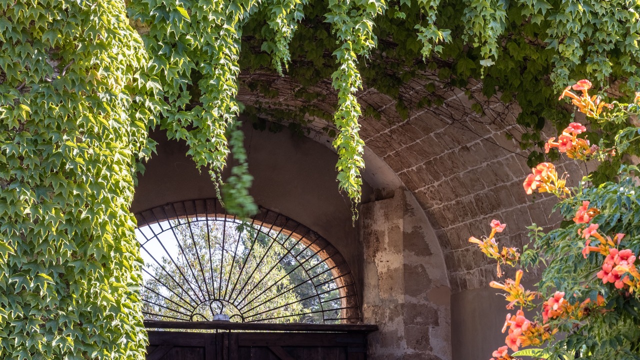 Photo of Outdoor in Noto