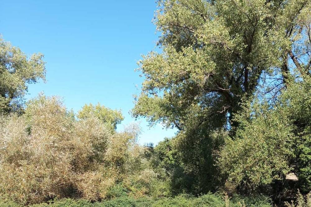 Photo of Outdoor in Santa Margherita di Belice