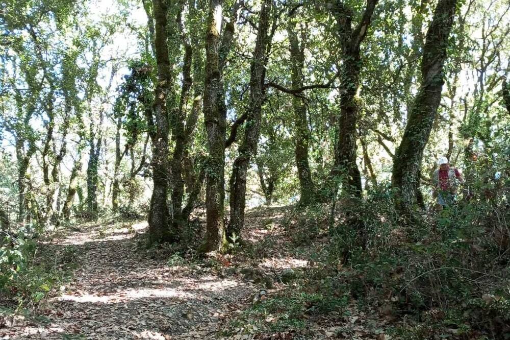 Photo of Outdoor in Santa Margherita di Belice