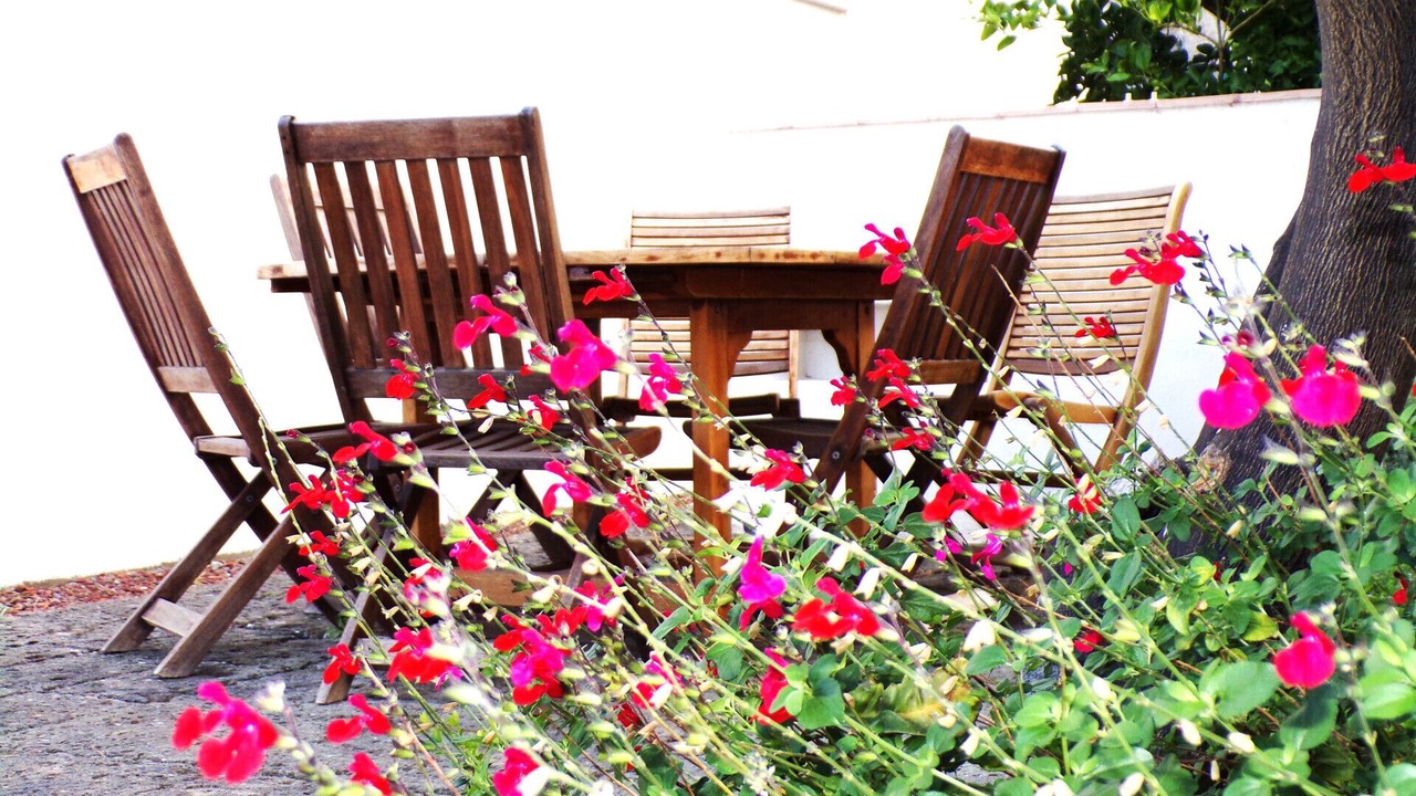 Photo of Outdoor in Casamicciola Terme