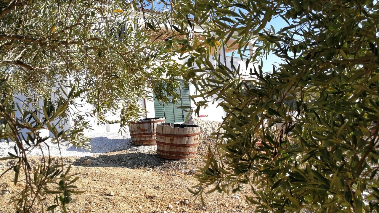 Photo of Others in Montallegro
