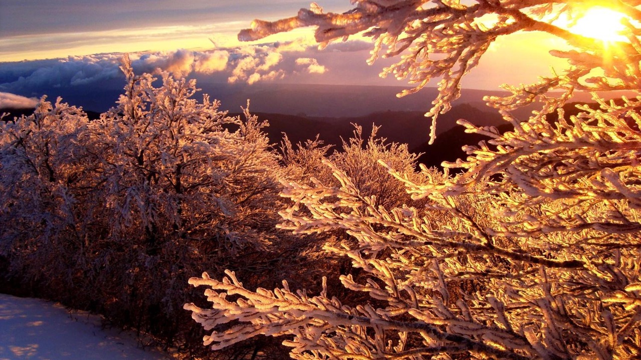 Photo of Outdoor in Gambarie