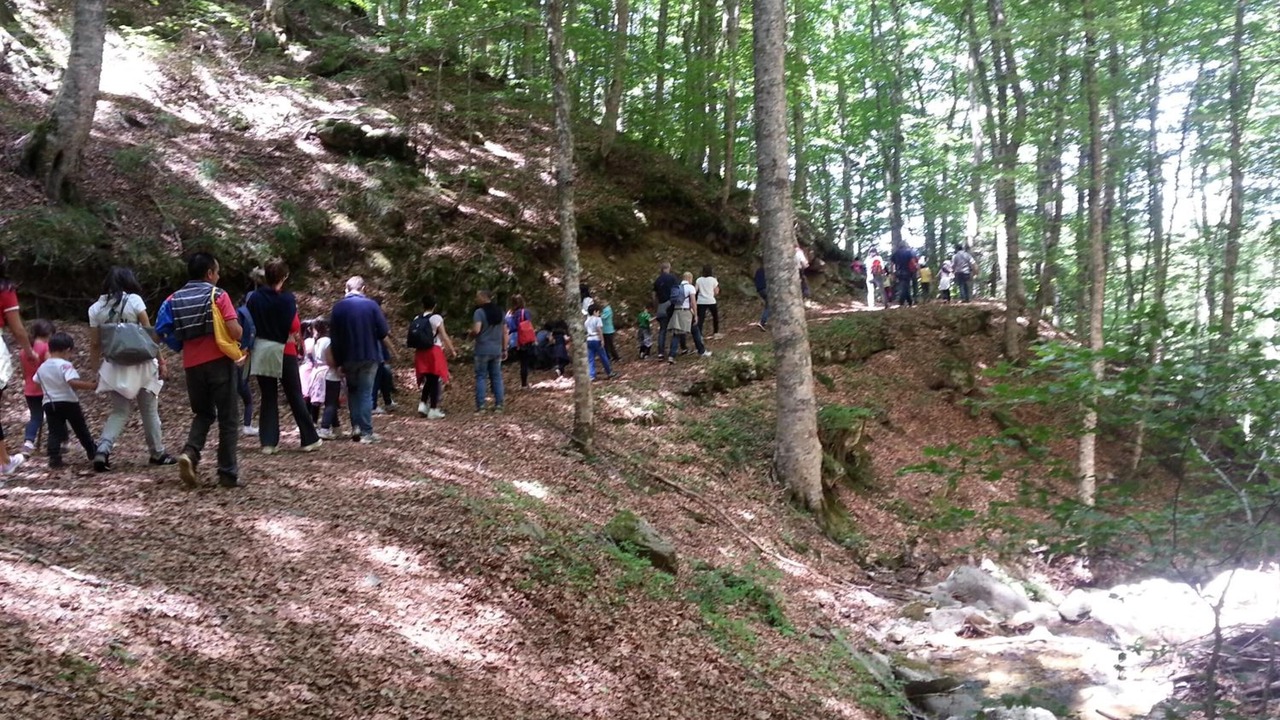 Photo of Outdoor in Gambarie