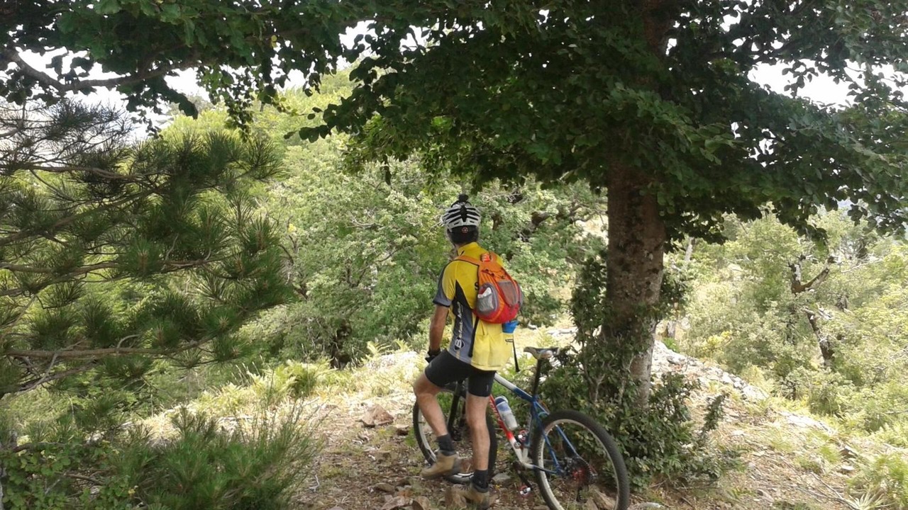 Photo of Others in Gambarie