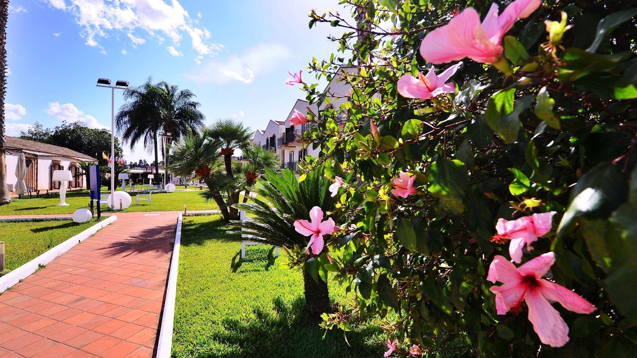 Photo of Outdoor in Palermo
