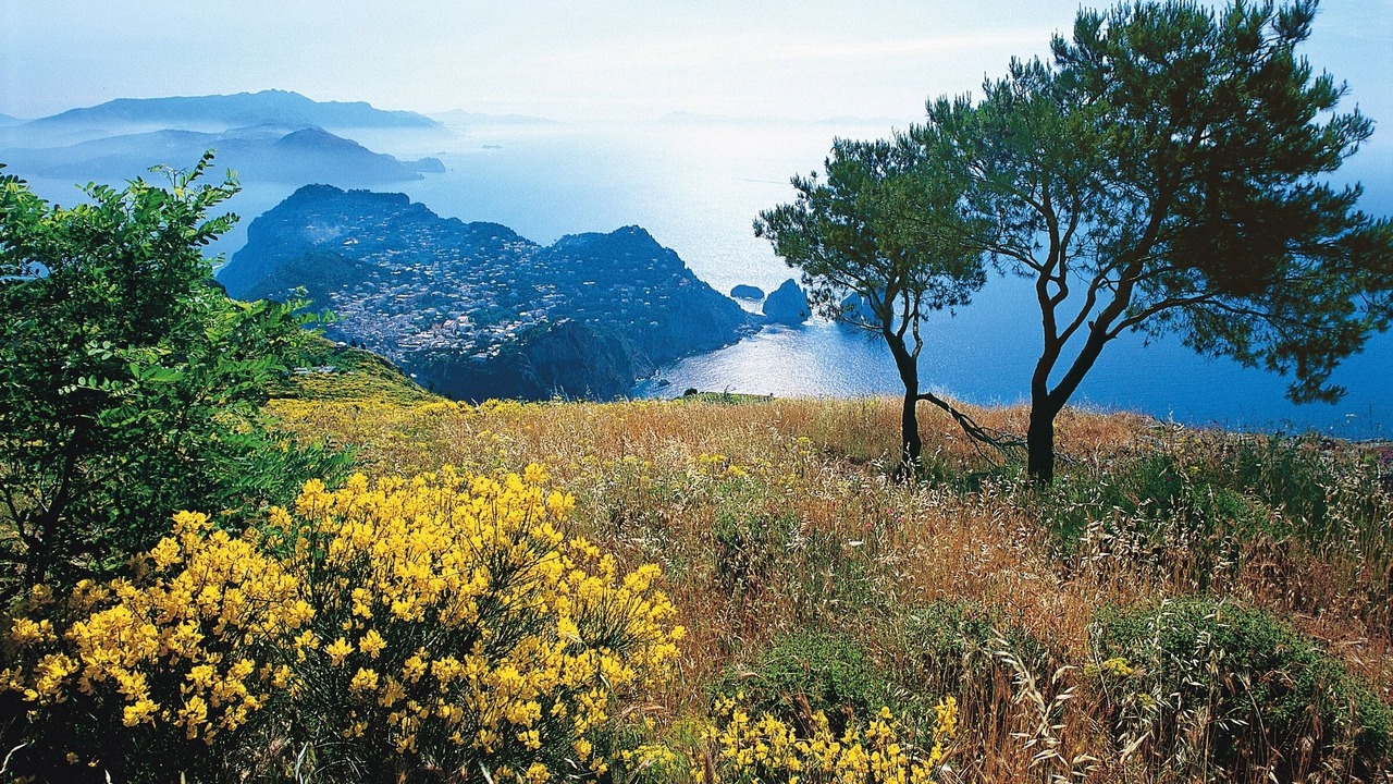 Photo of Others in Anacapri