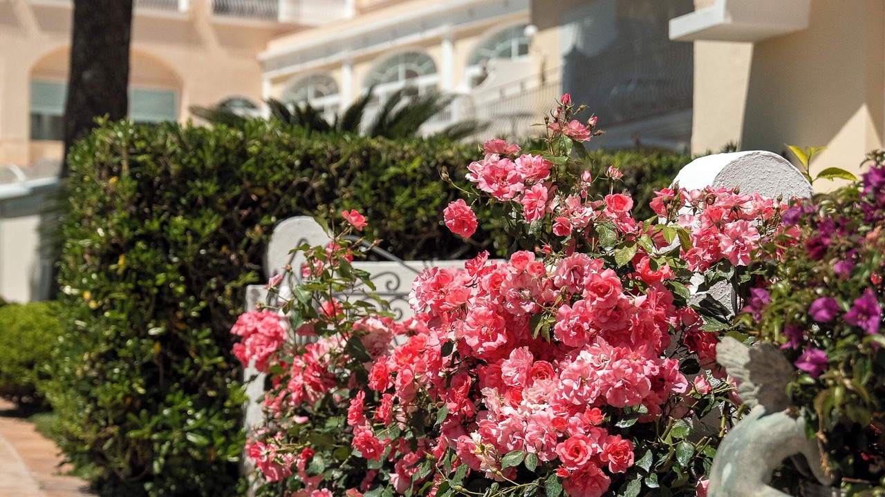 Photo of Outdoor in Capri