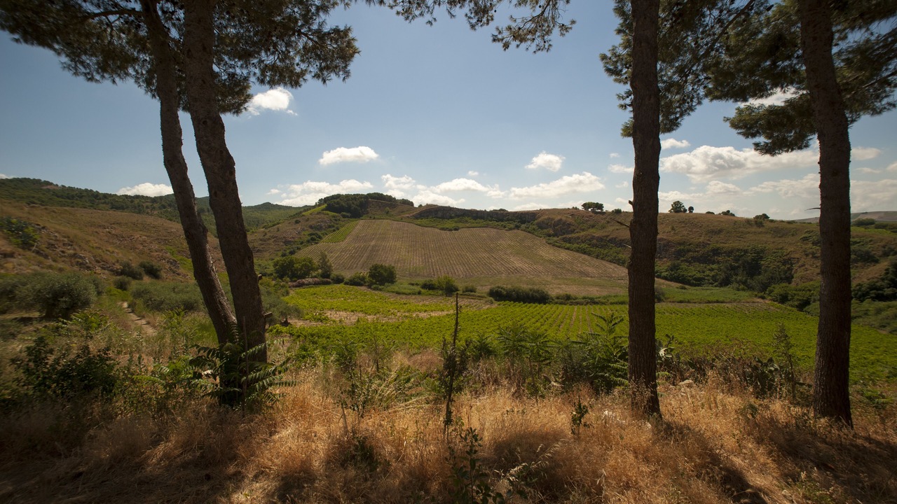 Photo of Others in Santa Ninfa