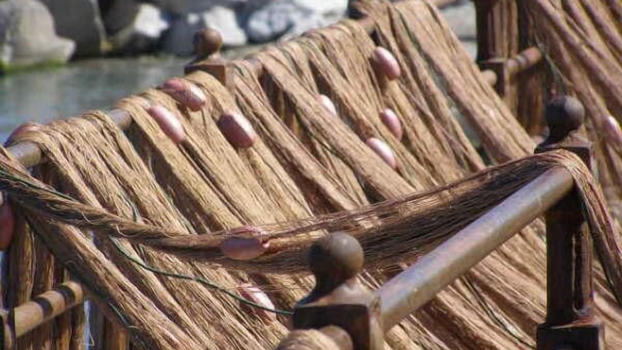 Photo of Others in Casteldaccia