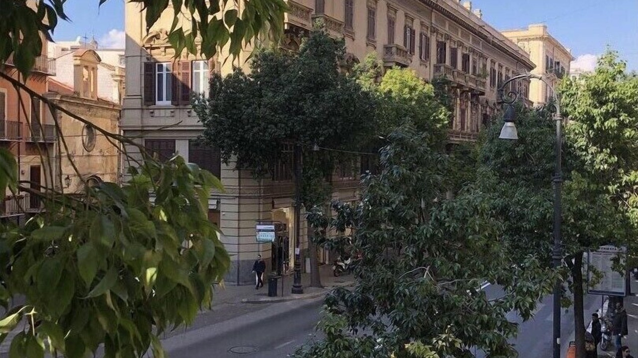 Photo of Others in Centro Storico