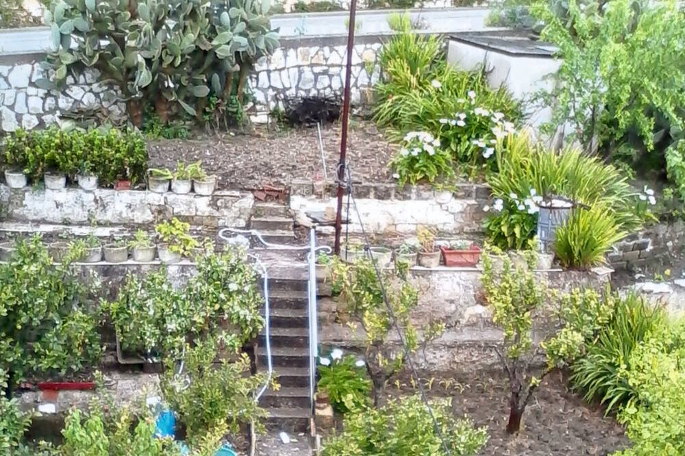 Photo of Outdoor in Vita