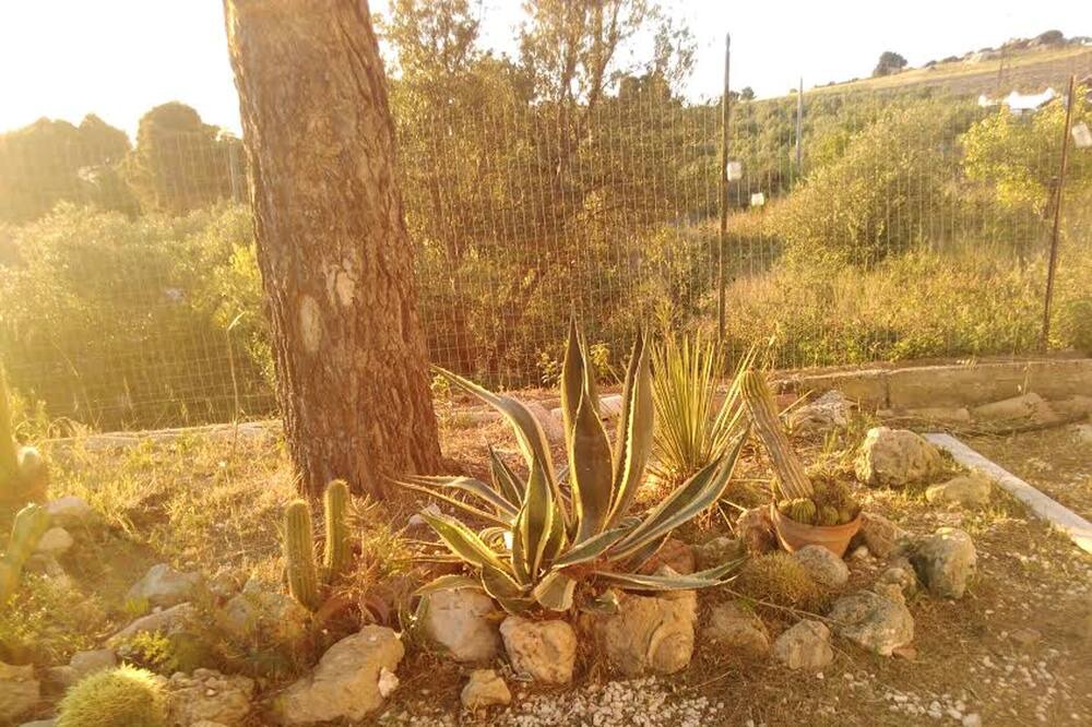 Photo of Outdoor in Sciacca