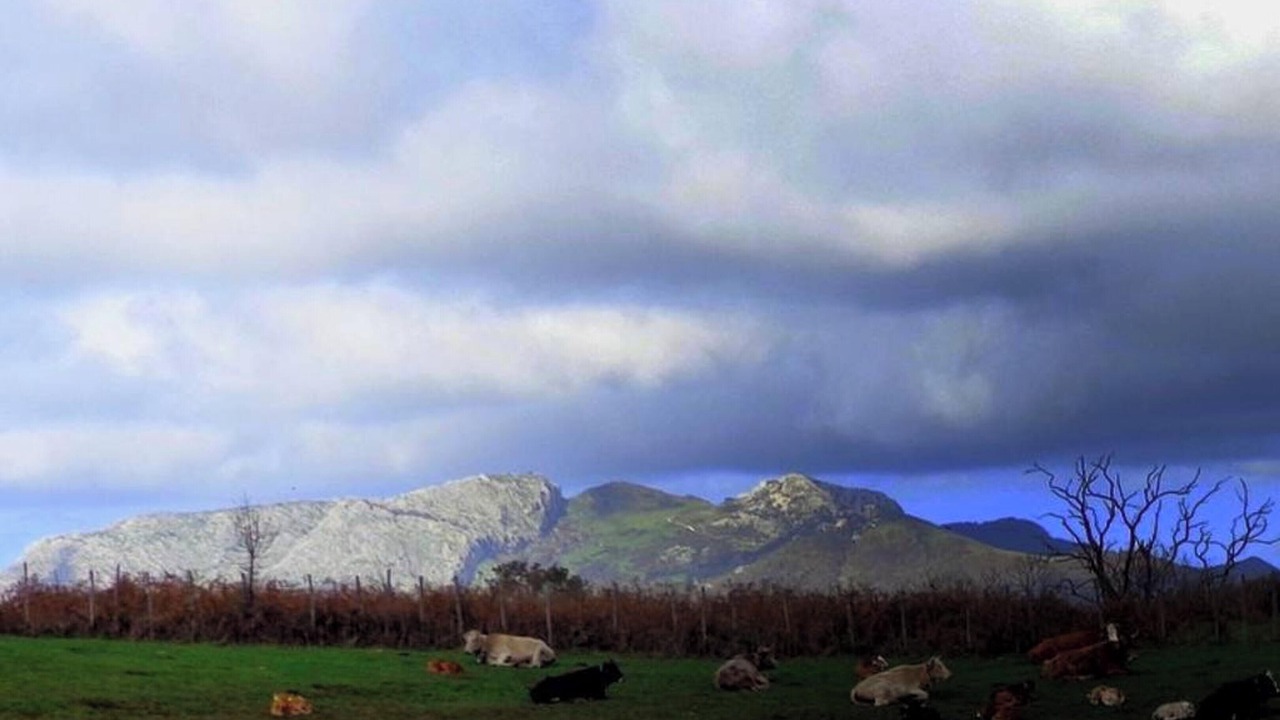 Photo of Others in Galati Mamertino