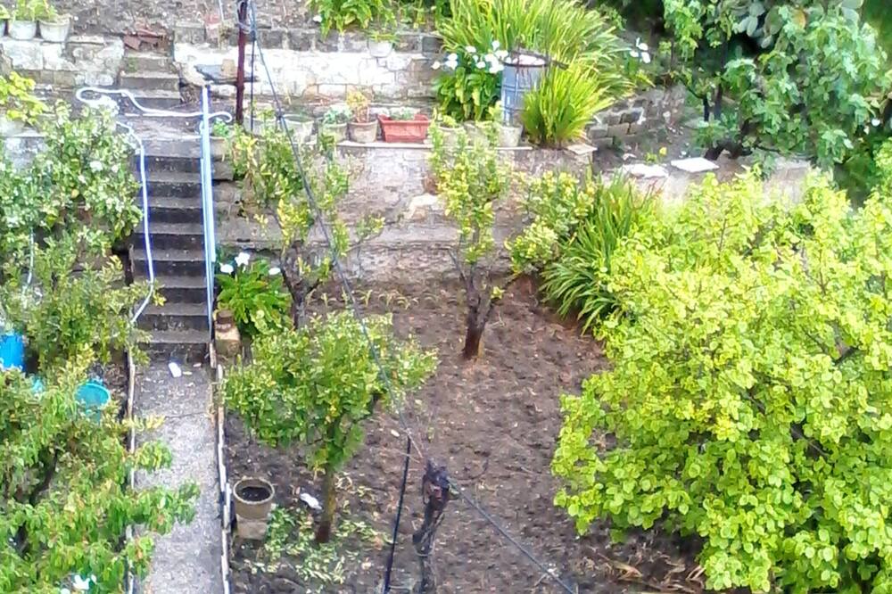 Photo of Outdoor in Vita