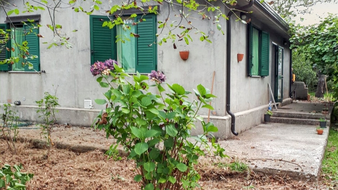 Photo of Outdoor in Scilla