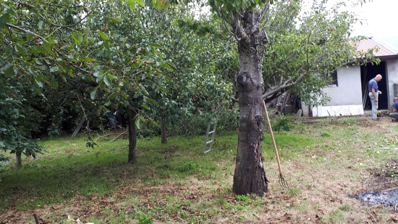 Photo of Outdoor in Scilla