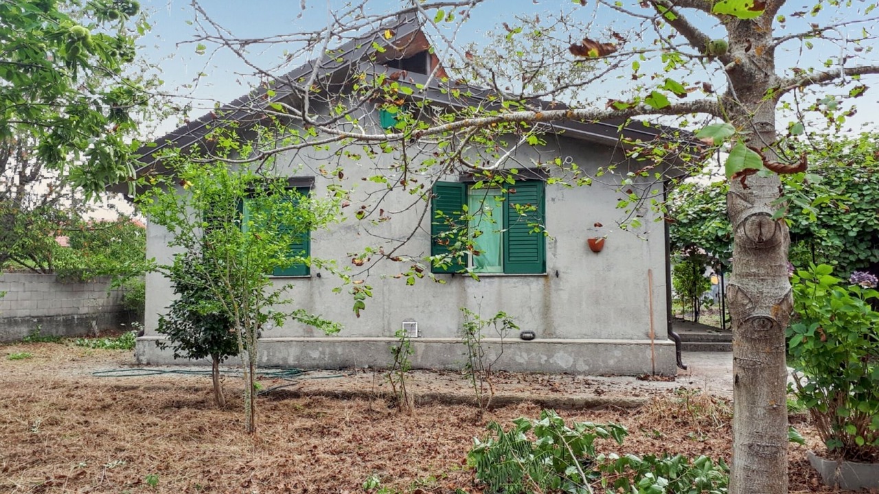 Photo of Outdoor in Scilla