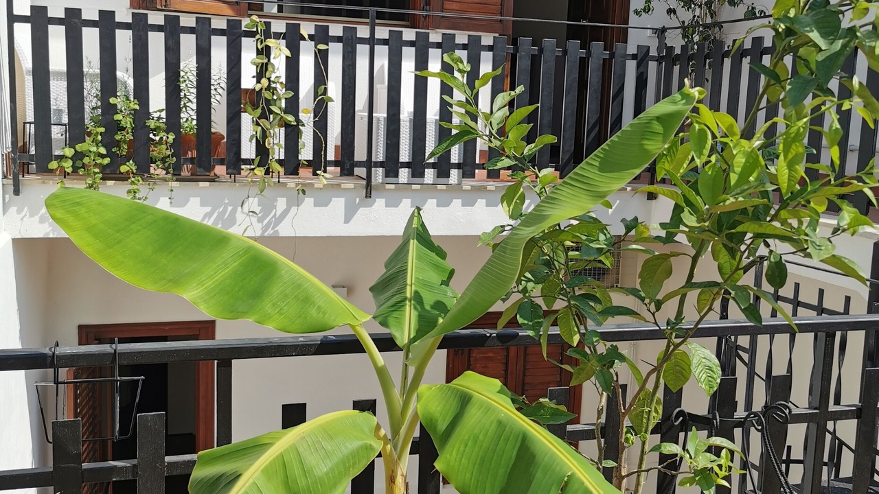 Photo of Outdoor in Partanna