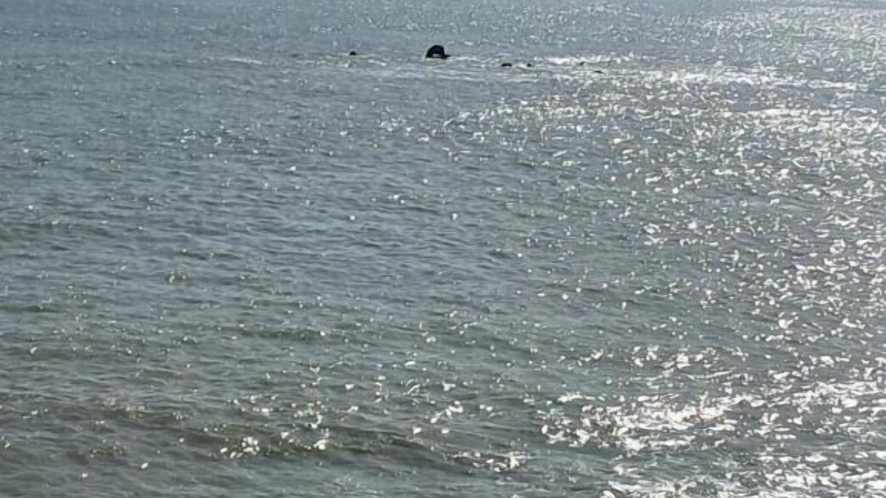 Photo of Others in Giardini Naxos